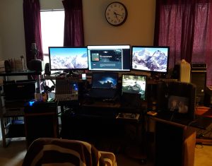 Wild Elephant's Working Station